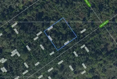 1210 Haviland St, Lake Placid, FL 33852