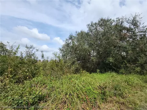4645 Peeples Ln, Wauchula, FL 33873 photo 4