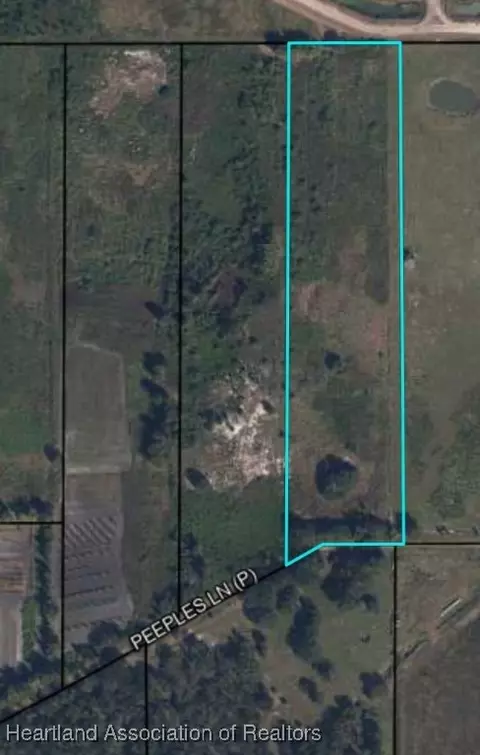 4645 Peeples Ln, Wauchula, FL 33873