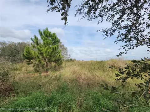 4645 Peeples Ln, Wauchula, FL 33873 photo 3