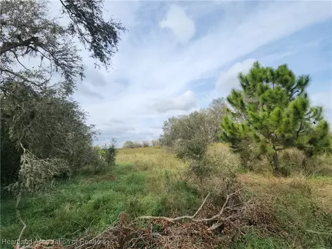 4645 Peeples Ln, Wauchula, FL 33873 photo 5