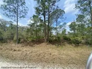 704 Scott St, Lake Placid, FL 33852