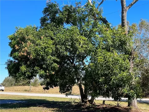 1105 Sunset Dr, Sebring, FL 33870 photo 30