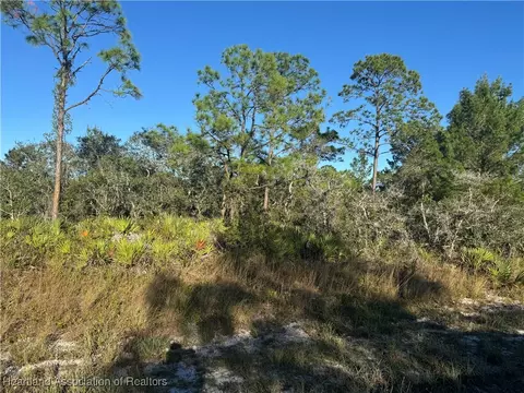 1239 Popinjay Ave, Lake Placid, FL 33852