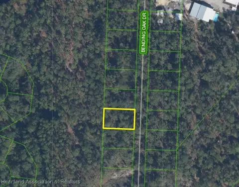 10335 Bending Oak Dr, Sebring, FL 33875 photo 1