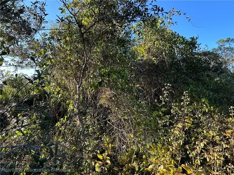 tbd Abernathy Ave, Sebring, FL 33875 photo 5