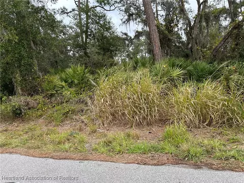 4000 Hedge Ave, Sebring, FL 33875 photo 9