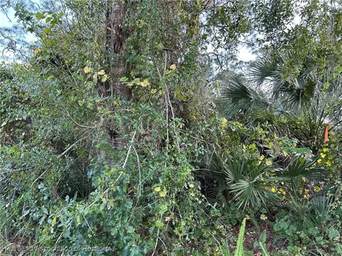 4000 Hedge Ave, Sebring, FL 33875 photo 15