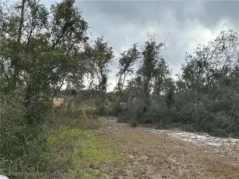 4000 Hedge Ave, Sebring, FL 33875 photo 13