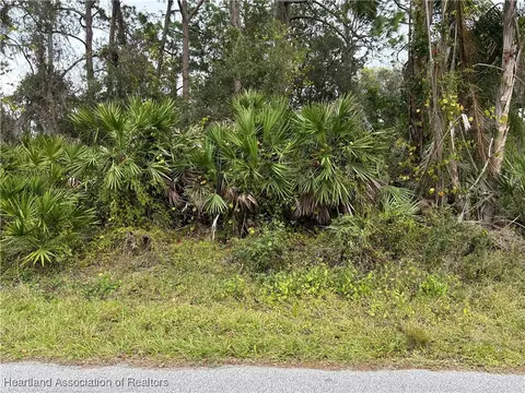 4000 Hedge Ave, Sebring, FL 33875 photo 5