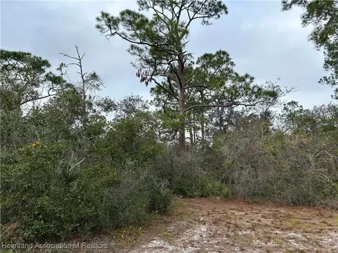 4000 Hedge Ave, Sebring, FL 33875 photo 14