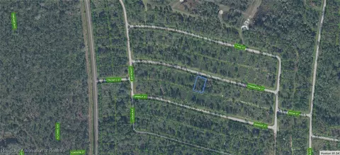 8637 Primavera St, Sebring, FL 33872 photo 3