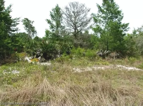 2898 W Avalon Rd, Avon Park, FL 33825