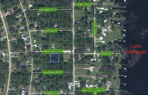 1509 Paper Birch St, Lake Placid, FL 33852