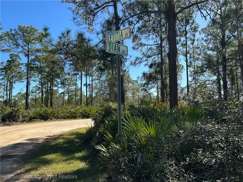 6720 Dian Ave, Sebring, FL 33875 photo 10