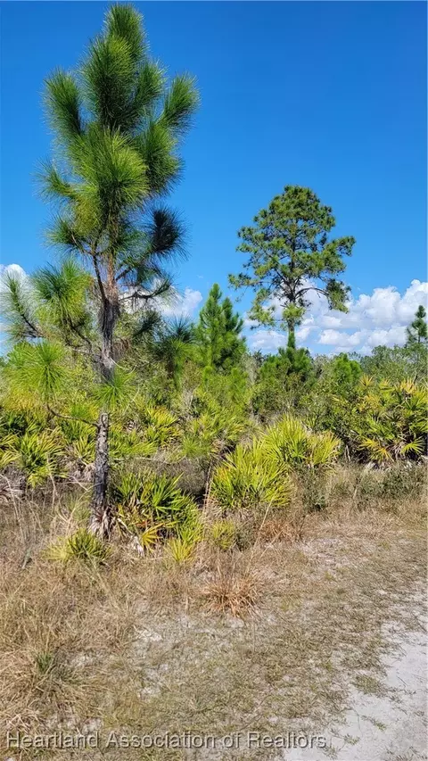 1061 Riding Dr, Lorida, FL 33857 photo 6