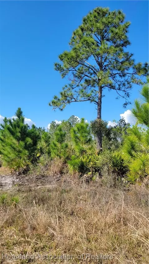 1061 Riding Dr, Lorida, FL 33857 photo 9