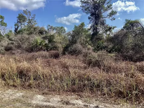 323 Capri Dr NE, Lake Placid, FL 33852