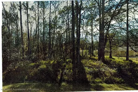 lot29 Deedra Dr, Wesley Chapel, FL 33544