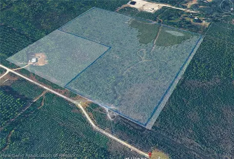 0 NE 125th Ave, Fort Mc Coy, FL 32134