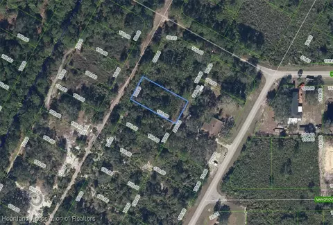 1329 Rutledge Ave, Lake Placid, FL 33852