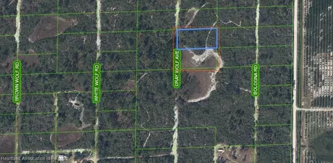 Gray Wolf Avenue, Sebring, FL 33870