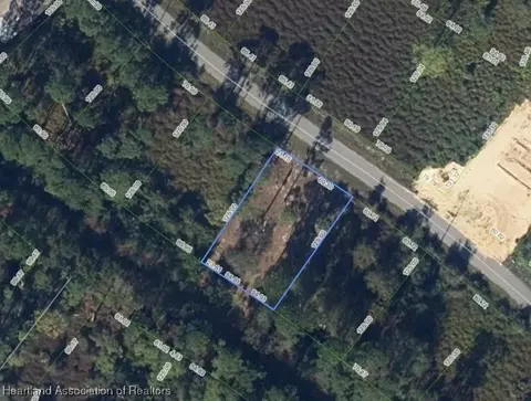 465 Roosevelt Ave NE, Lake Placid, FL 33852
