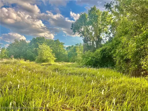 1291 Manley Rd, Wauchula, FL 33783