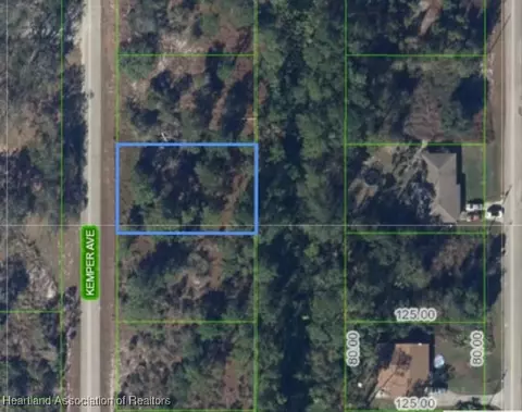 444 Kemper Ave, Lake Placid, FL 33852