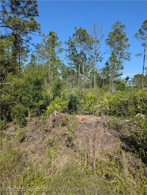 4914 Lime Rd, Sebring, FL 33875 photo 3