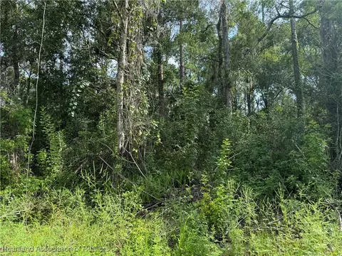 230 Pigeon Ave, Sebring, FL 33870