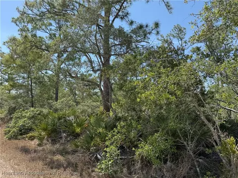 3125 Tremont Ave, Lake Placid, FL 33852