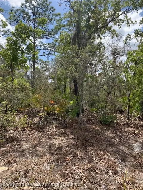 1986 Hurst Rd, Sebring, FL 33870 photo 9