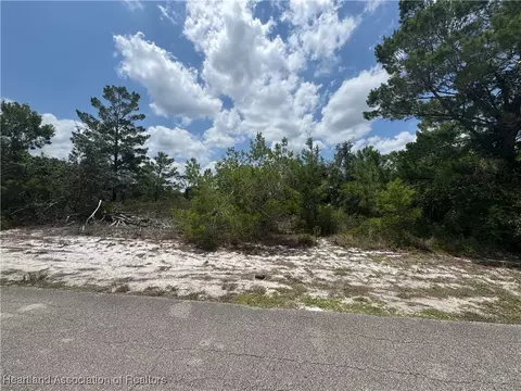 321 Coolidge Ave NE, Lake Placid, FL 33852