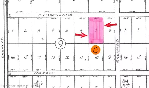 125 Cumberland St, Lake Placid, FL 33852