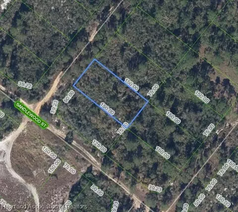 203 Harcourt Ave, Lake Placid, FL 33852