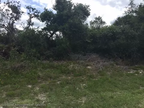 6339 Columbus Blvd, Sebring, FL 33872 photo 2
