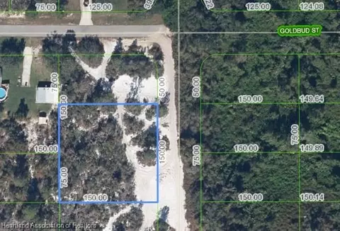 238 Marshall Ave, Lake Placid, FL 33852