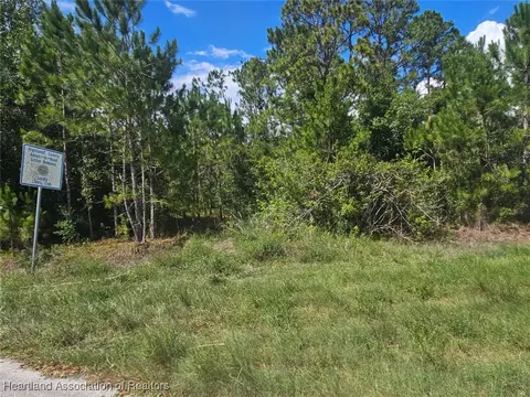 1872 Grey Oak Ln, Lorida, FL 33857 photo 18