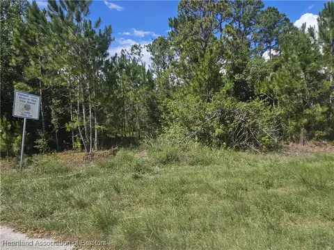 1872 Grey Oak Ln, Lorida, FL 33857 photo 21