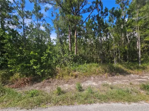 1872 Grey Oak Ln, Lorida, FL 33857 photo 22