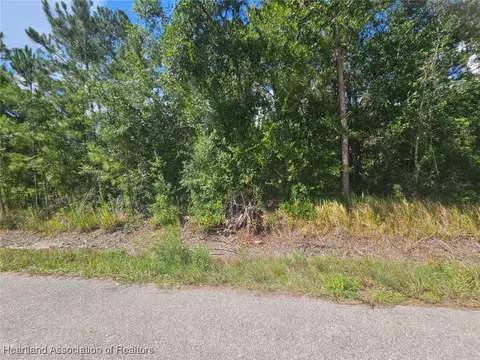 1872 Grey Oak Ln, Lorida, FL 33857 photo 23