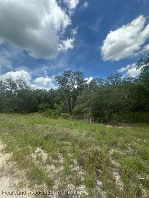 3064 W Ryder Rd, Avon Park, FL 33825