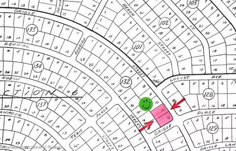 1124 Oriole St, Lake Placid, FL 33852