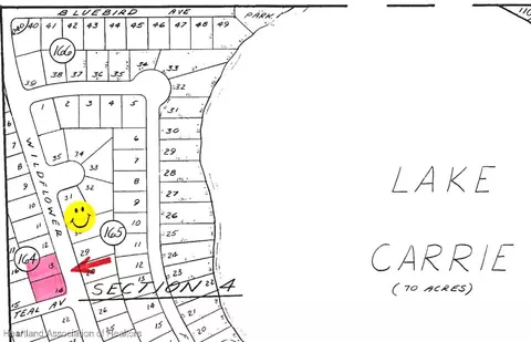 1040 Wildflower St, Lake Placid, FL 33852