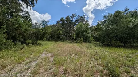 Sasser Road, Zolfo Springs, FL 33890