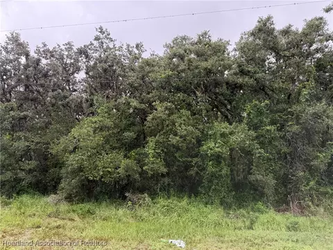 1776 N Berkley Rd, Avon Park, FL 33825