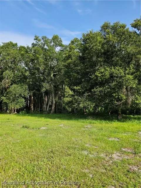 0 E Sr 64, Wauchula, FL 33873 photo 4