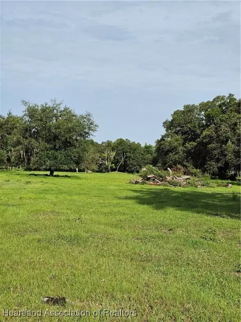0 E Sr 64, Wauchula, FL 33873 photo 7