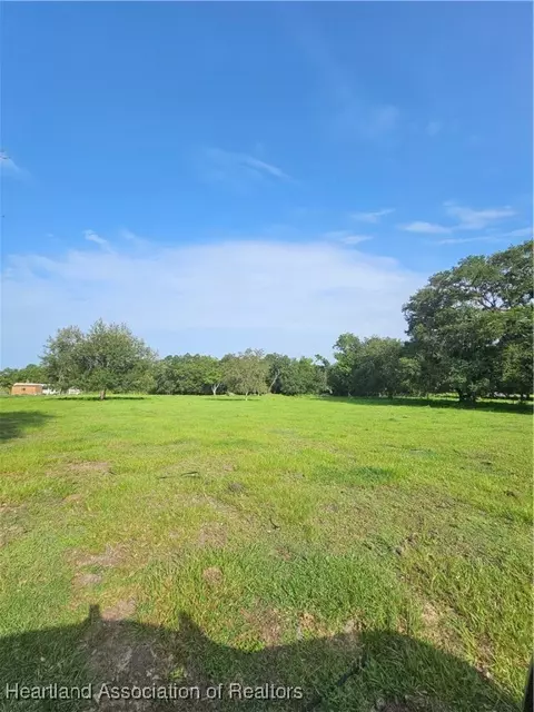 0 E Sr 64, Wauchula, FL 33873 photo 3